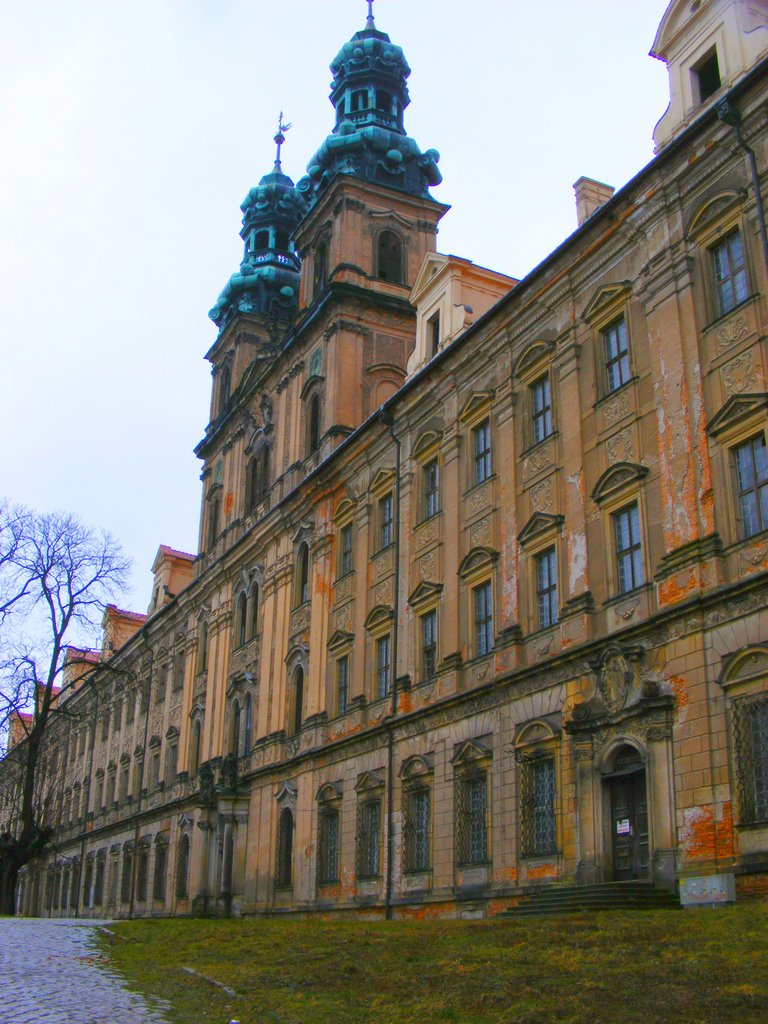 Lubiąż-wieś w gminie Wołów powiat Wołowski.Widok na pierzeje połódniową.2009r by Andrzej Brudziński