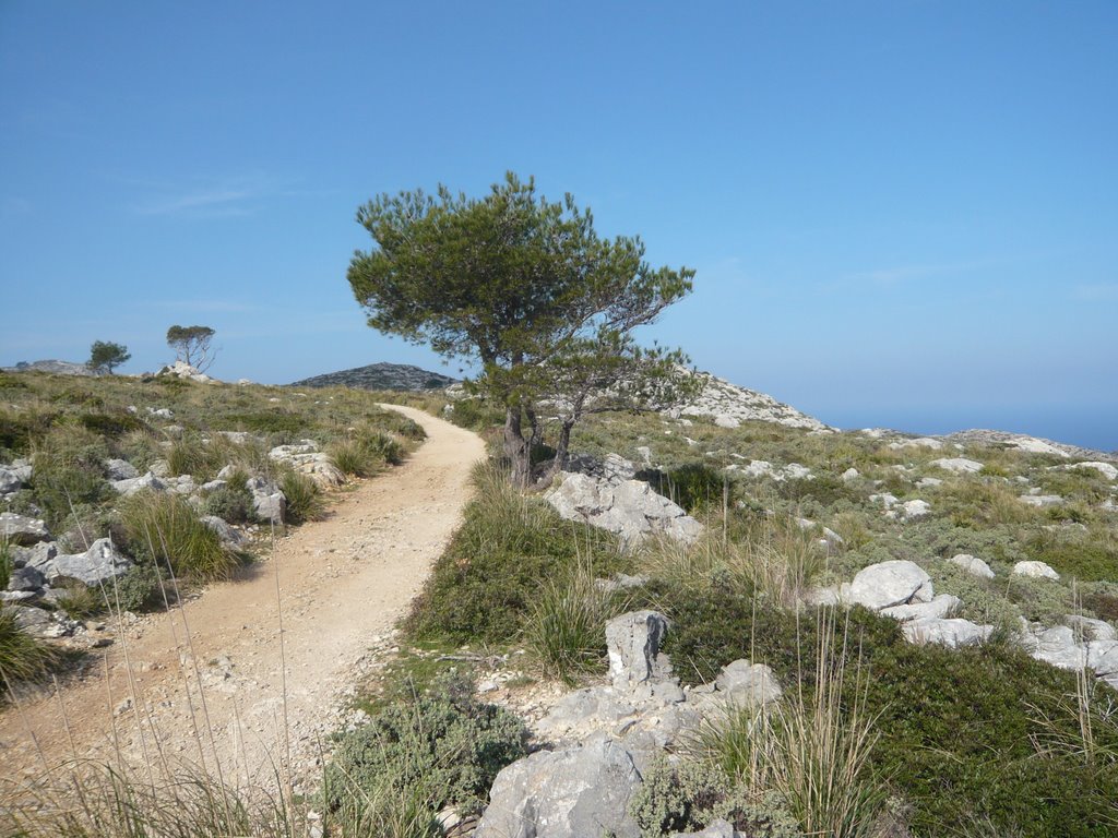 Andratx, Balearic Islands, Spain by georama