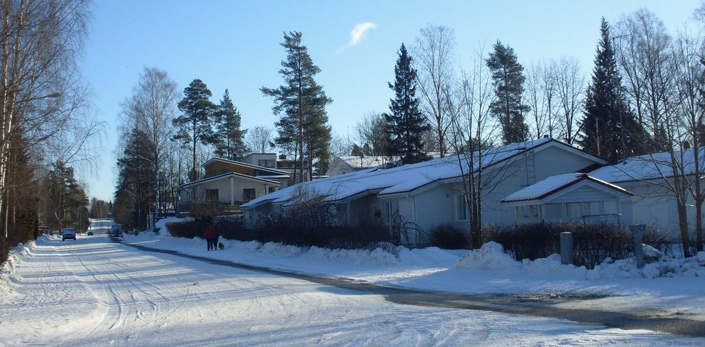 Osuuskunnantien loppupää by T.K.Sundvall