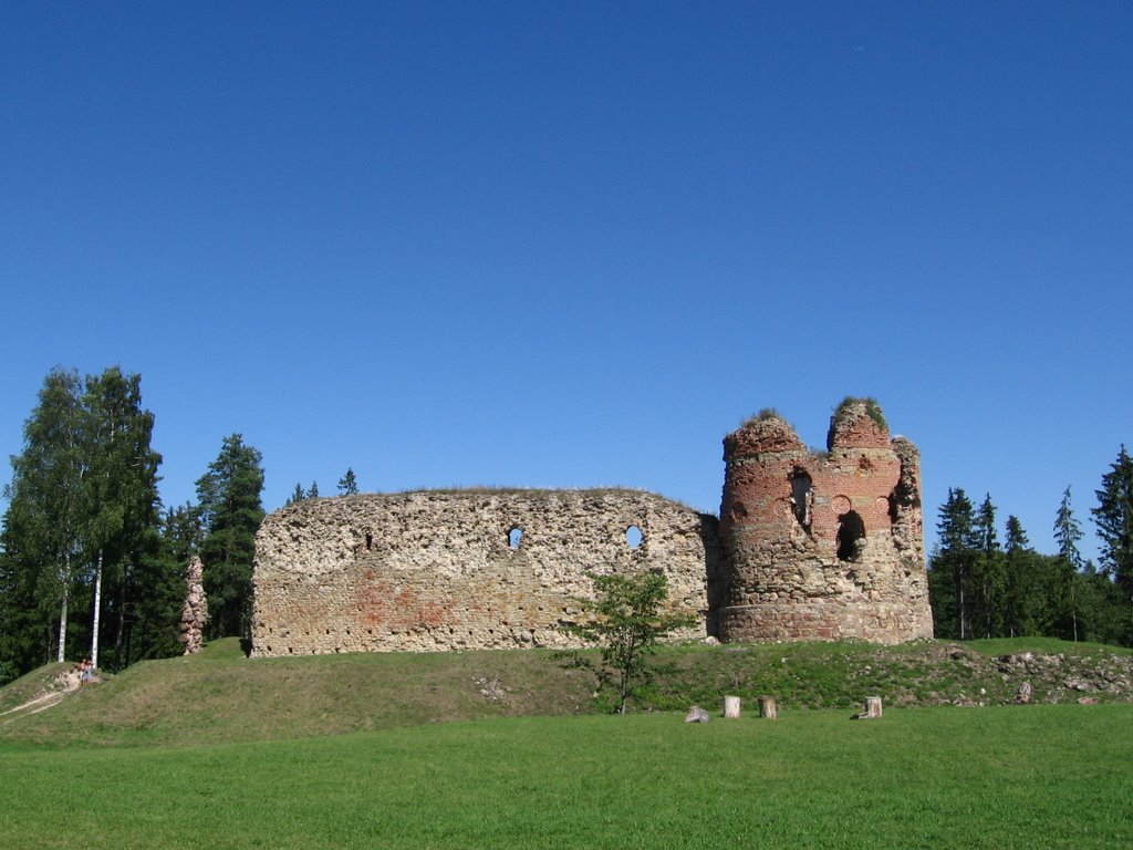 Vastseliina castle by andresso