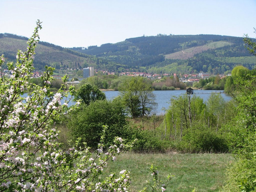 Großer Teich in ilmenau, Berge im Hintergrund by Lars0001