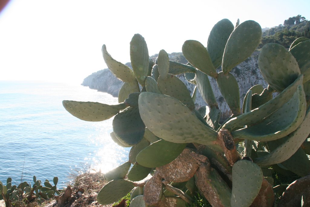 Vista sul mare by Antonio Di Mieri