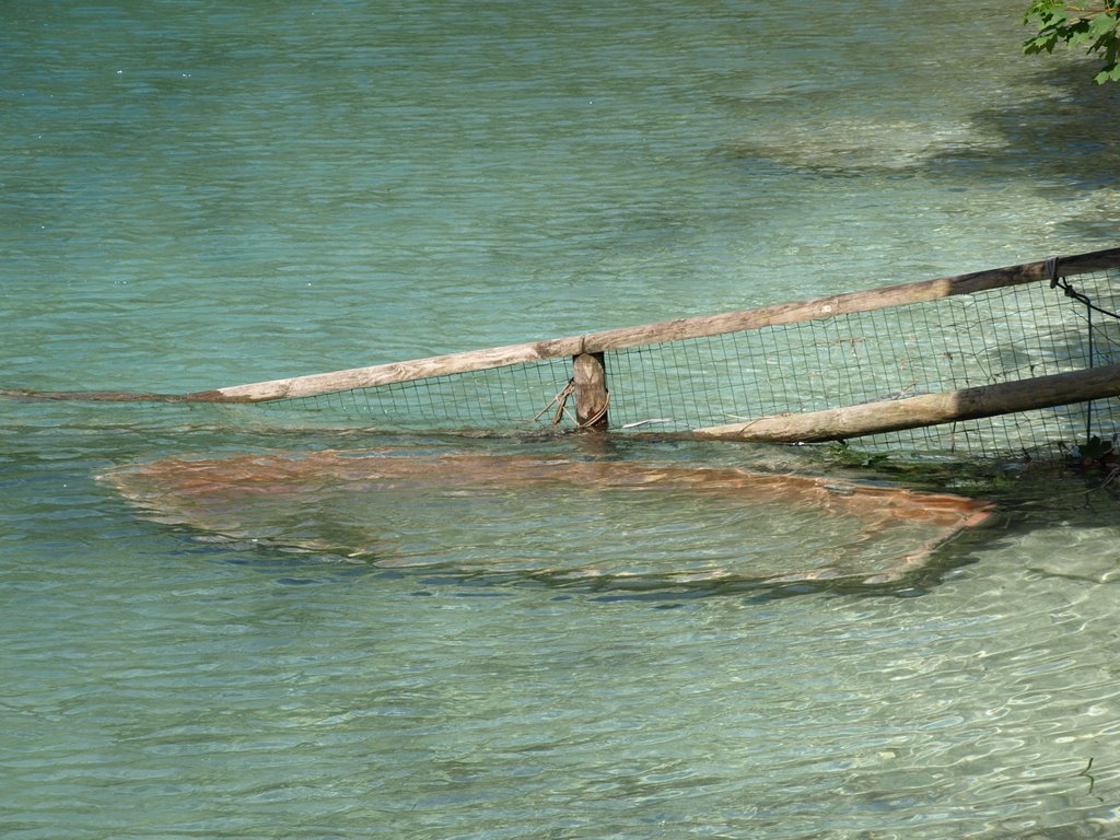 Versunkenes Boot im Lago di Ledro by Anka D.