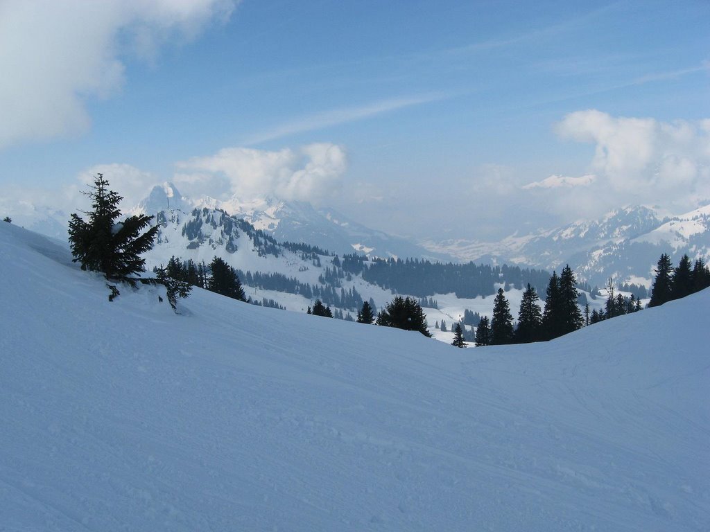 Zweisimmen - Rinderberg 4 by Mister SN