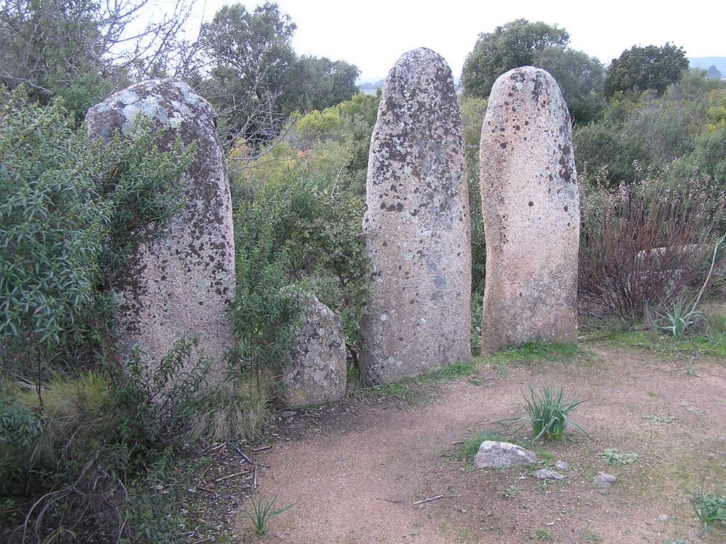 Alignements de Pagliaju, série de menhirs 03/2009 by bmaurice