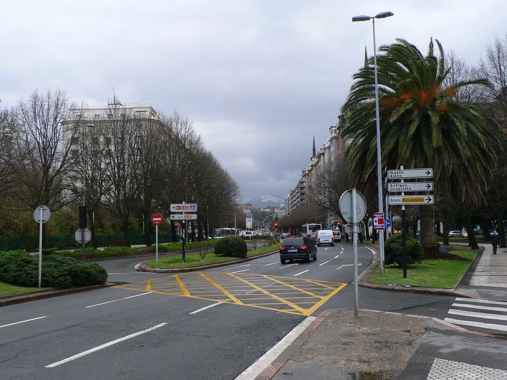 Sancho el sabio(avenida) by macp