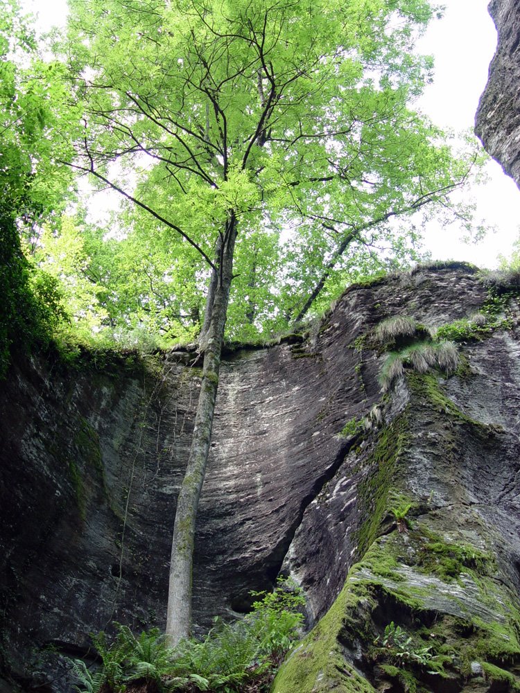 Slancio della Natura / overhong of the Nature by Pier LG