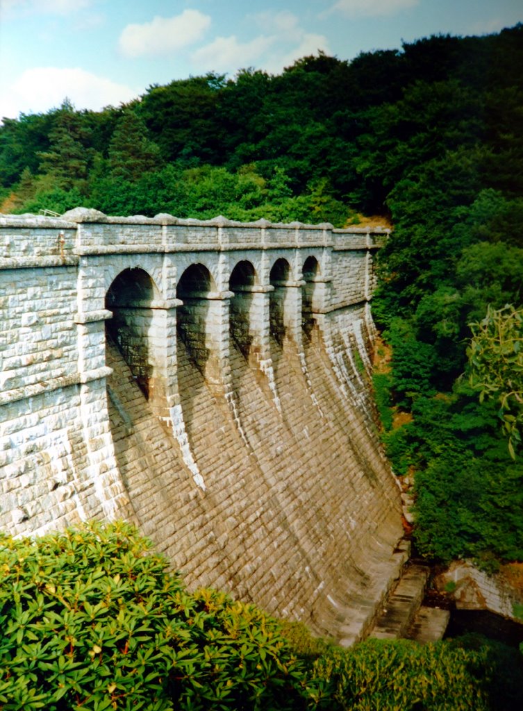 Burrator reservoir by alwyncooper