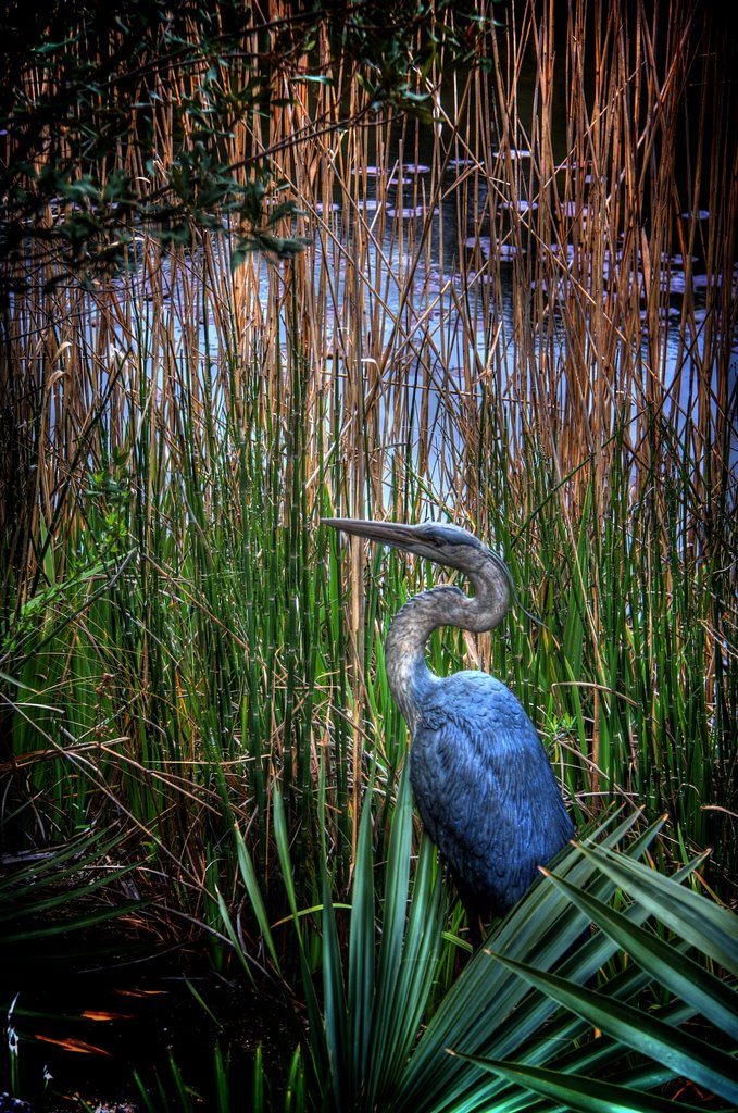 Heron in the Wetlands by SirFin