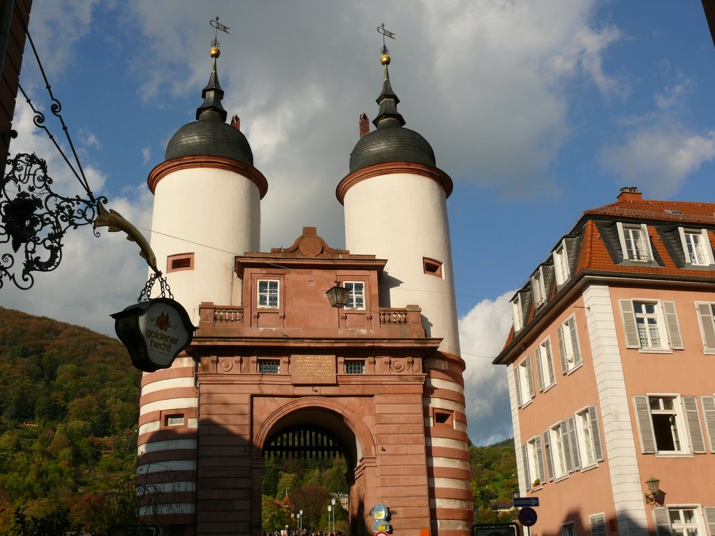 Heidelberg by S.Szczecinski