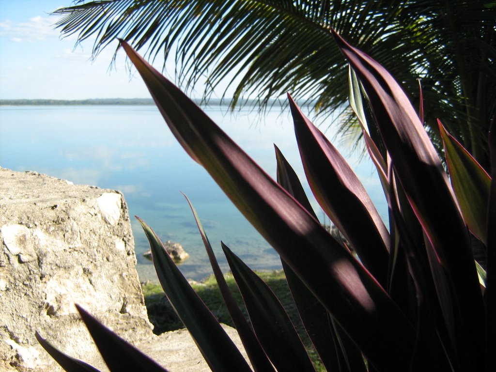 View of Petén Itzá lake by Luigerbo