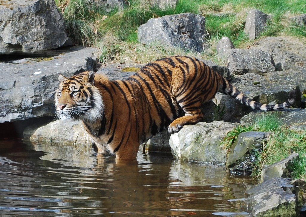 Thirsty work! by Rob Johnson