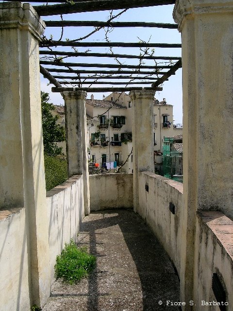 Salerno (SA), by Fiore Silvestro Barb…