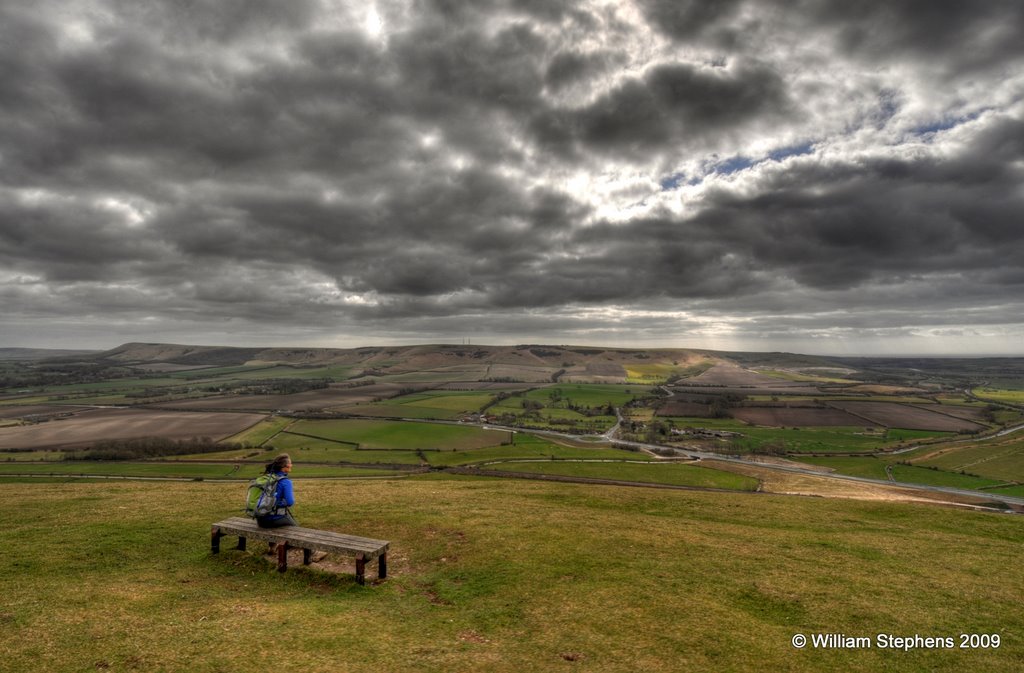 Bench with a view: 1 by William Stephens