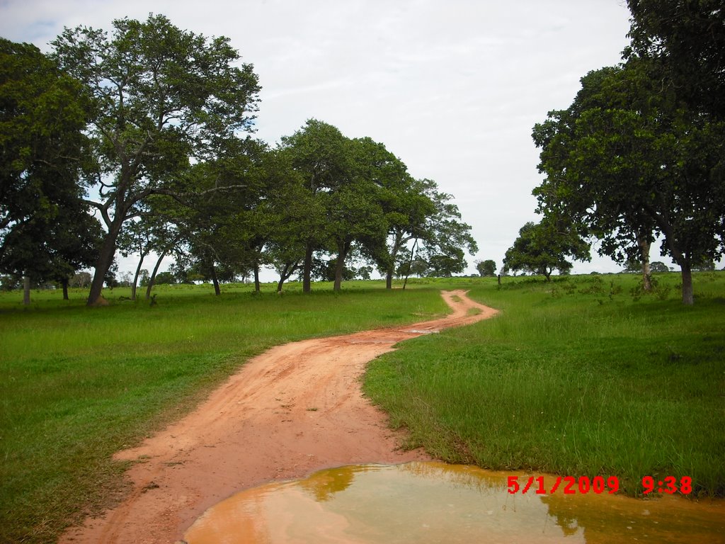 Caminho para o Registro do Araguaia saindo do Córrego Água Limpa by Ricardo Borges Gonça…