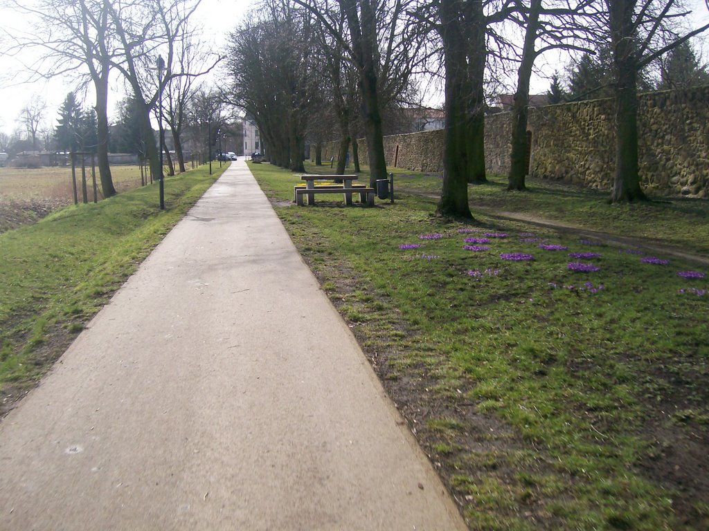 Altlandsberg, Fahrradweg an der Stadtmauer by Klaus Brinkmann