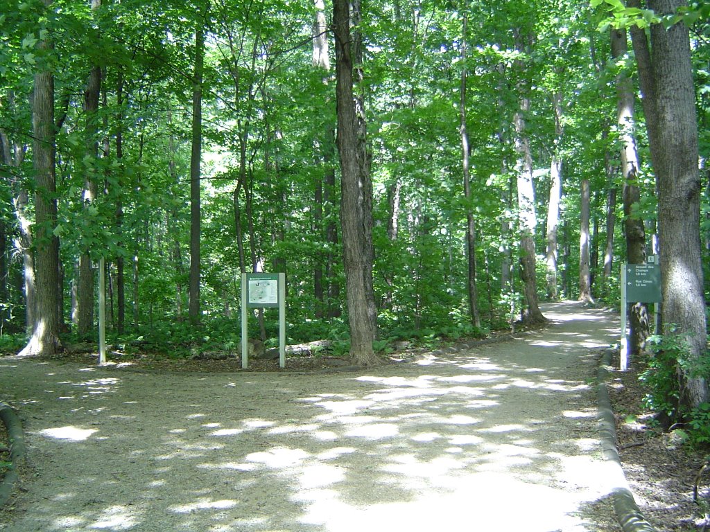 Bois de Liesse entrance by vaportrails