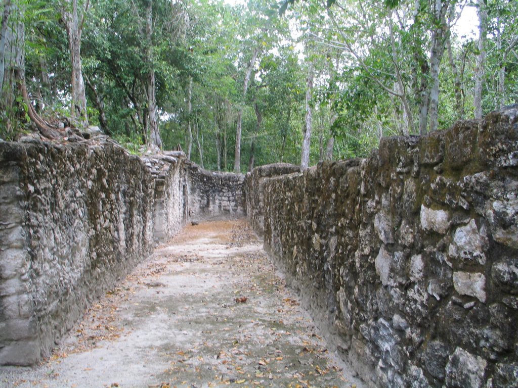 Calakmul by cienporcientocampech…