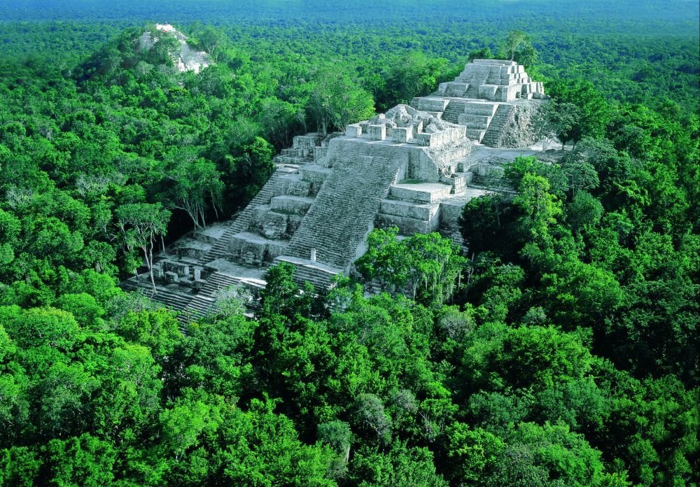 Selva y Ruina de Calakmul by cienporcientocampechano