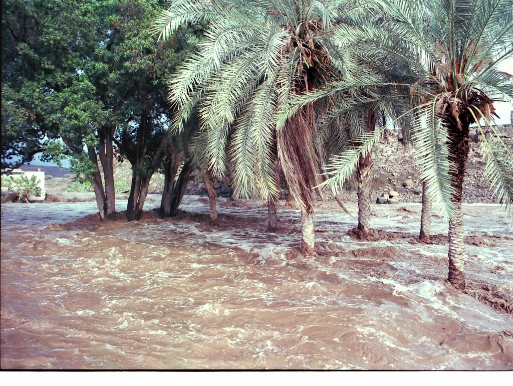 Dikhil, la crue by Vincent C