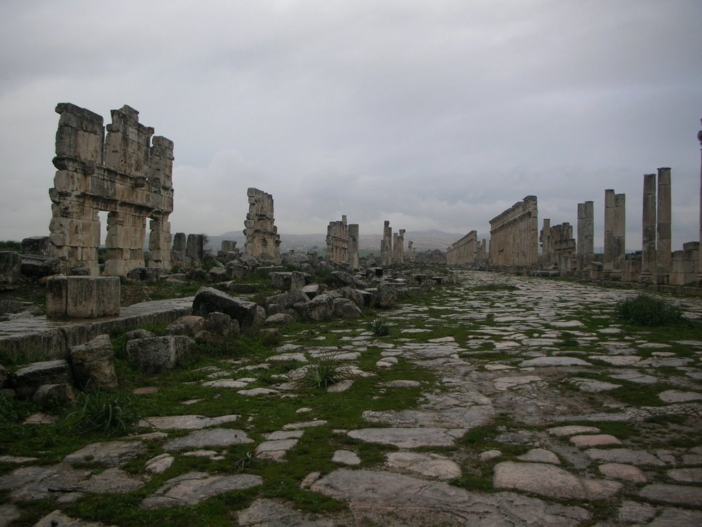 Apamea9 by maryagora