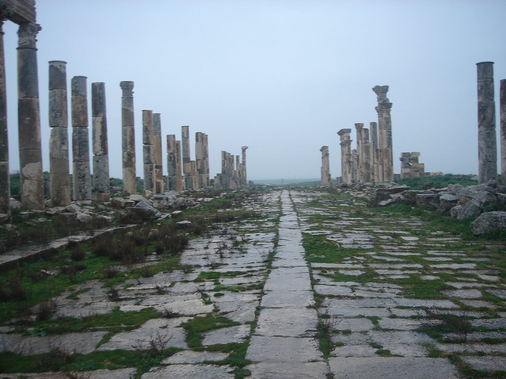 Apamea26 by maryagora