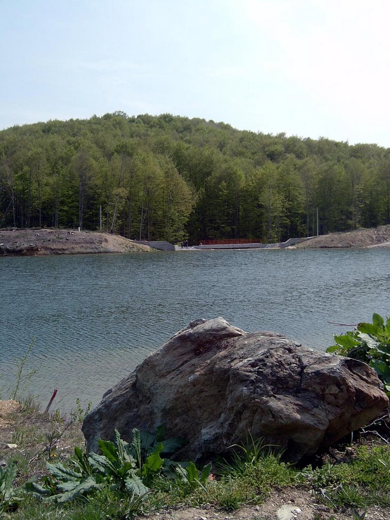 Lake near by Goc, Vrnjacka Spa by sarcevic branislav