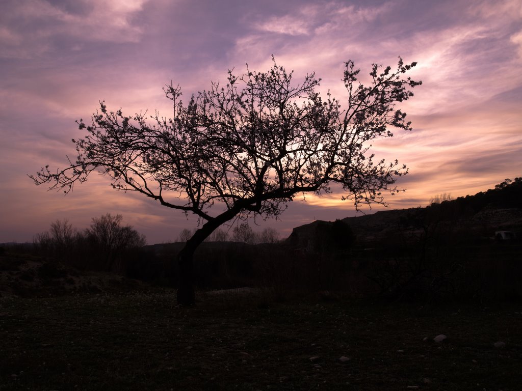 Atardecer Bajo Aragón by trenatox