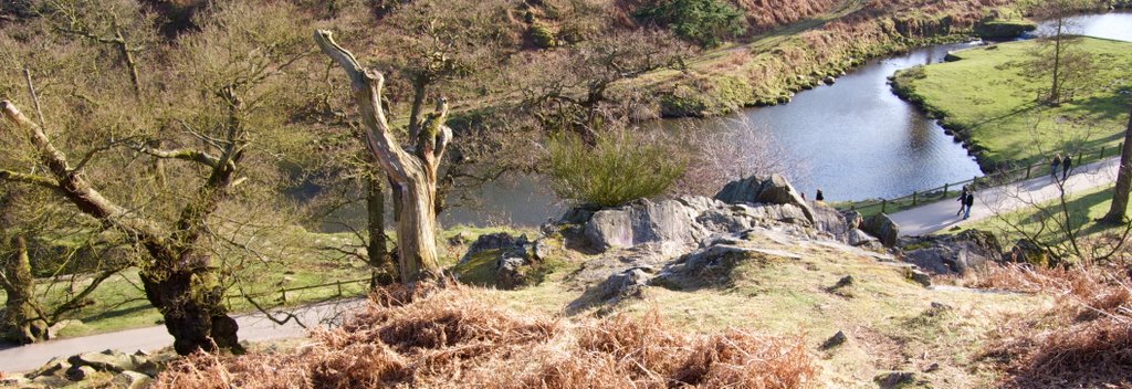 Waterway, Bradgate Park Leicestershire, UK by John Thornley