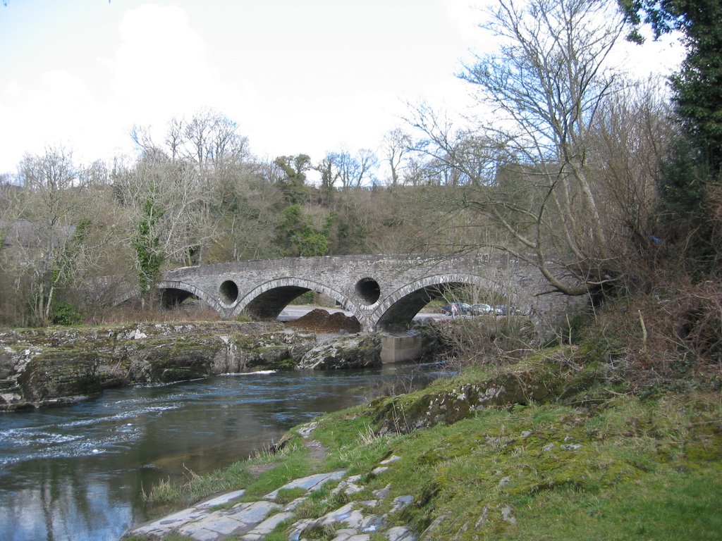 Cenarth Bridge by Evans286