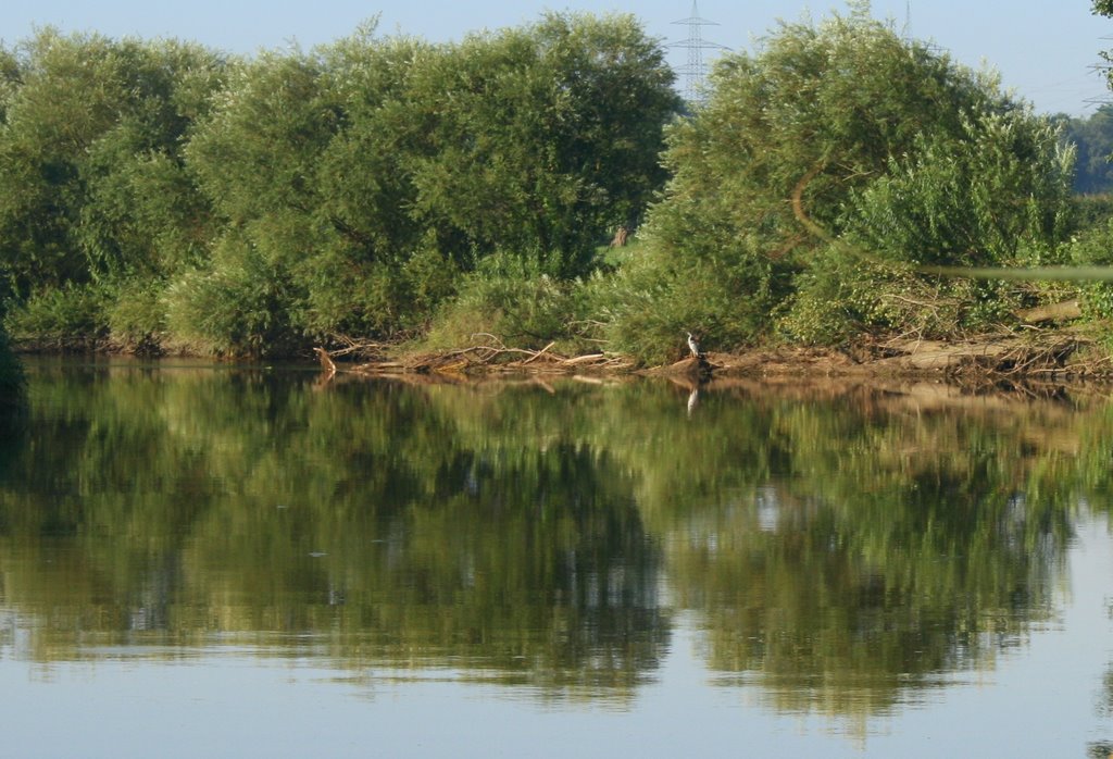 Lippe bei Marl by petra salberg