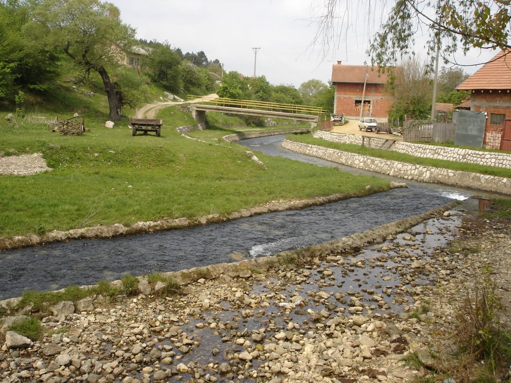 Zagubica - Ispod vrela Mlave by Nikolić Zoran