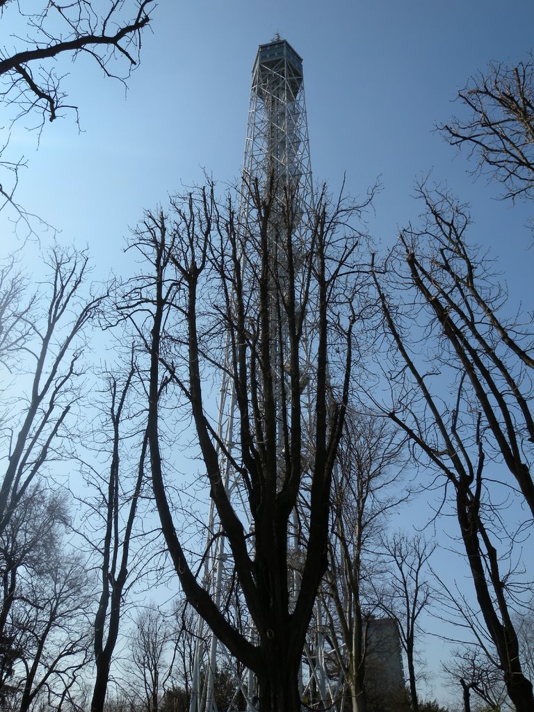 2009 3 Milano, Parco Sempione - Torre Branca by mario ghezzi