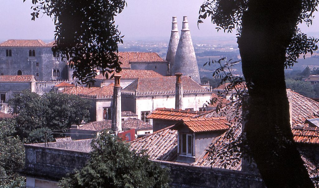 Sintra, Portugal by Erling Als Nielsen