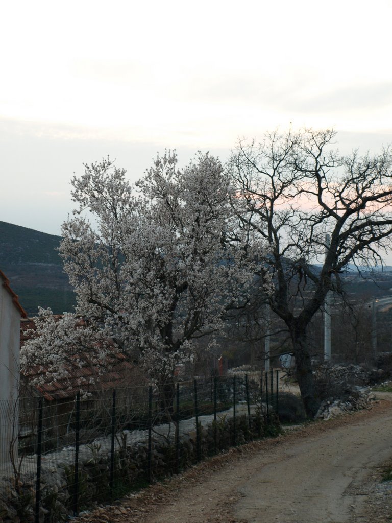 Put niz selo Radnići by Ante Radnić