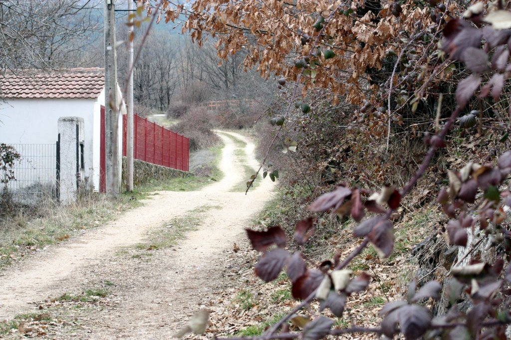 Camino de Braoj by r_santos