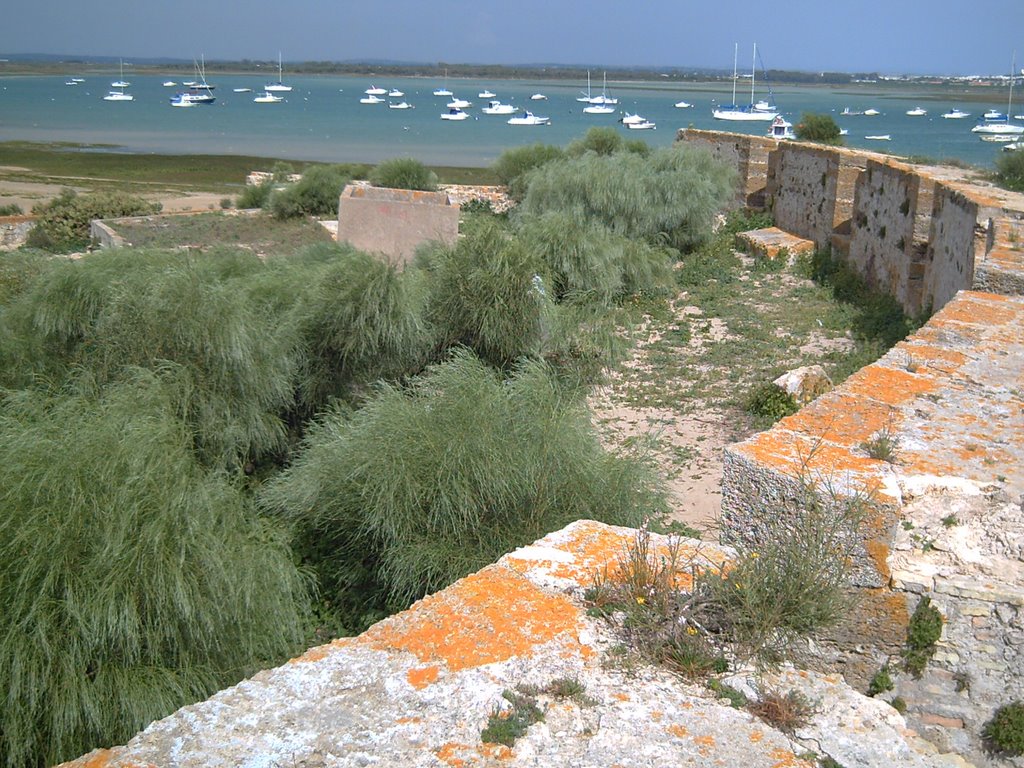 Batería de Urrutia (s.XVIII) y Caño de Sancti-Petri by Alvaro Mariscal