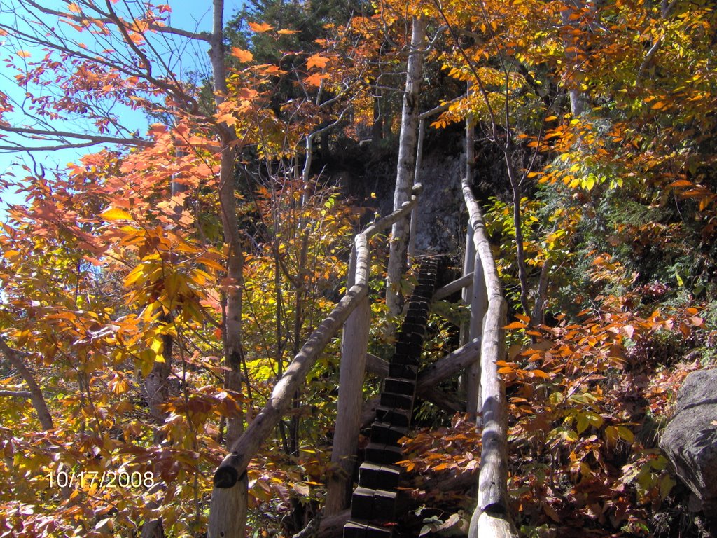 Plank-Stairs on Jorden Cliffs trail by jim88