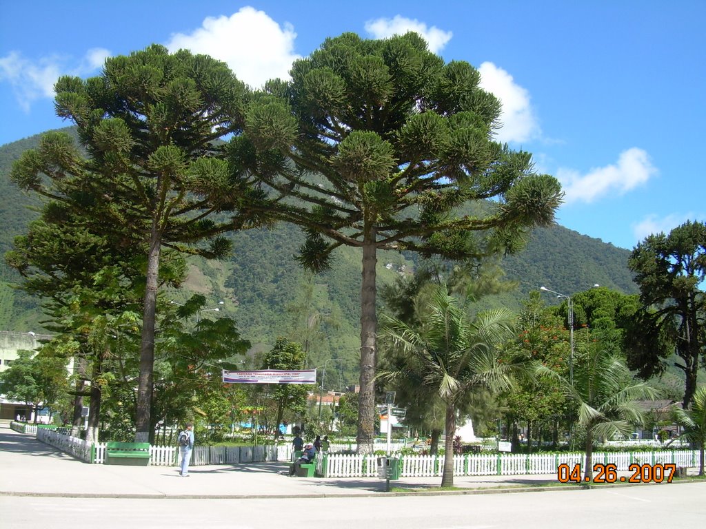 Vista del parque de Oxapampa by carlitosb