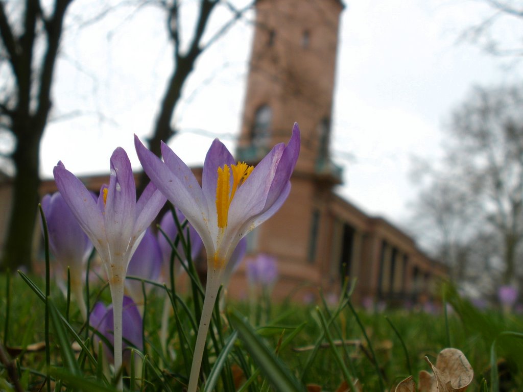 Frühling im Schlosspark Biesdorf by Odor