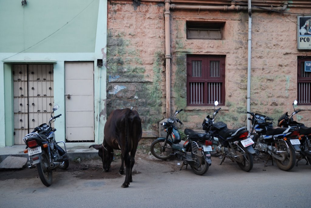 Madurai streat by Sodel