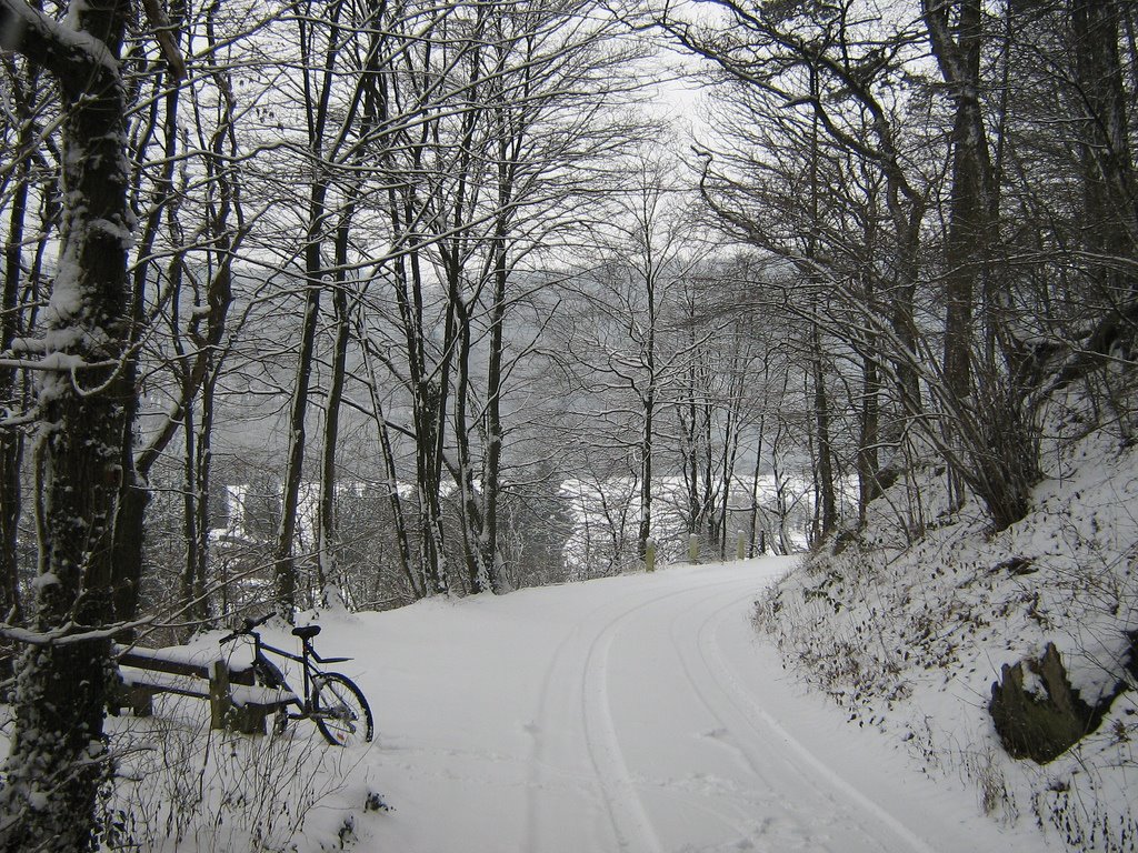 Bois de Tabreux in Xhignesse by stephanluca