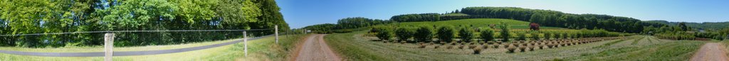 Panorama agricultural land near Lake Baldeney by Bloemenhaas