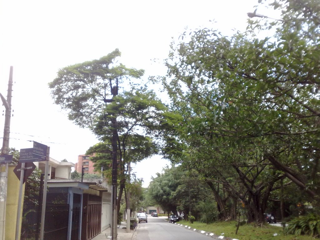 Av.Manuel dos Reis Araujo by rafapava51