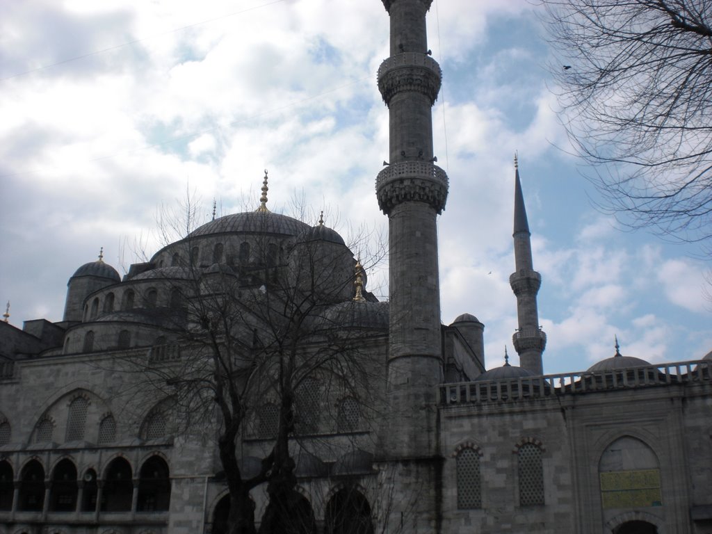 Blue mosque by dimitar_ganev@mail.b…