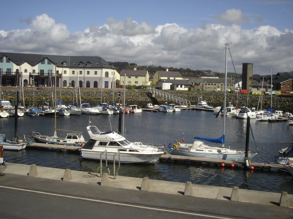 Aberystwyth harbour by Chris Lyons