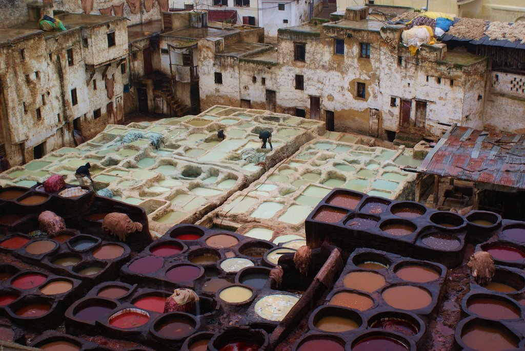 Fez, Morocco by Janusz Duda