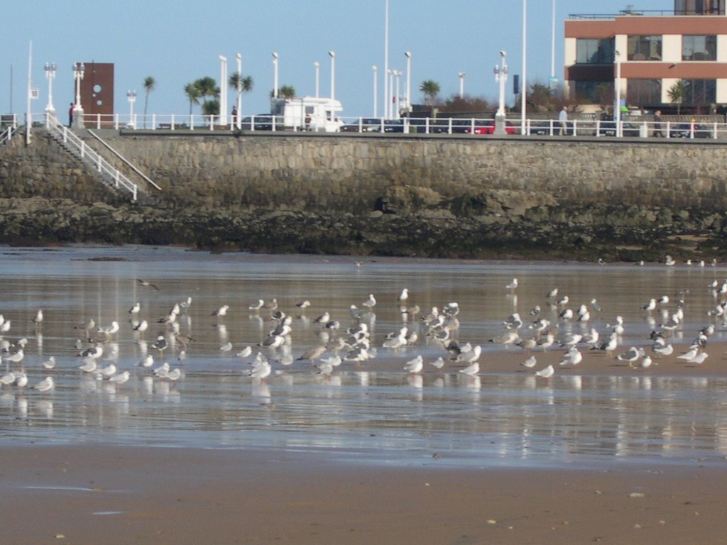 Playa de San Lorenzo by lola