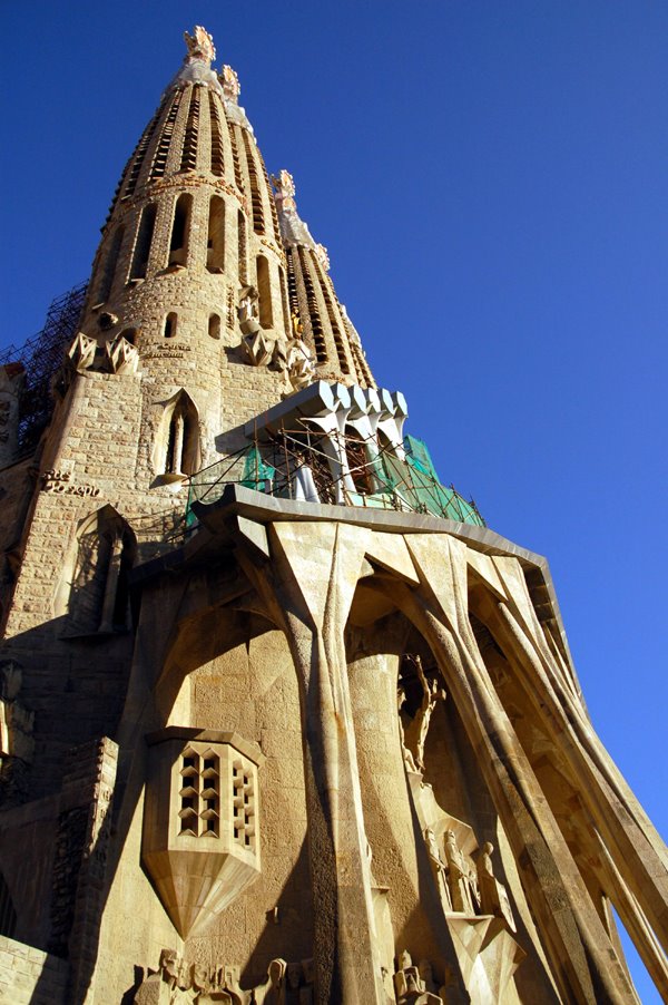 Sagrada Familia by alex sanderson