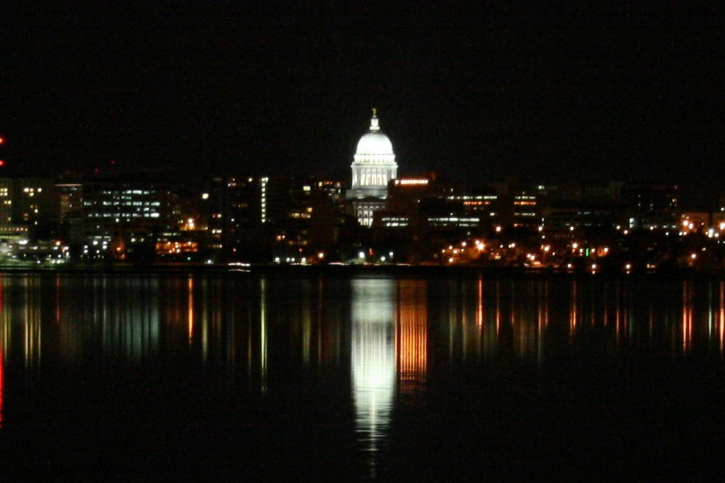 Capitol from the Park by rhsmith45